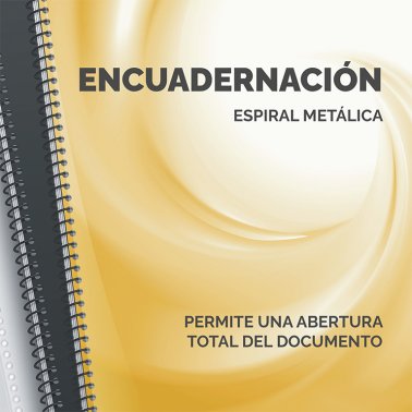 Encuadernadora Fellowes Metal 100R
