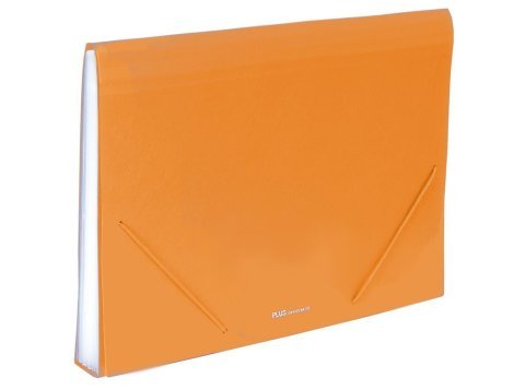 Carpeta Clasificadora Plus Office A4 Naranja Opaco